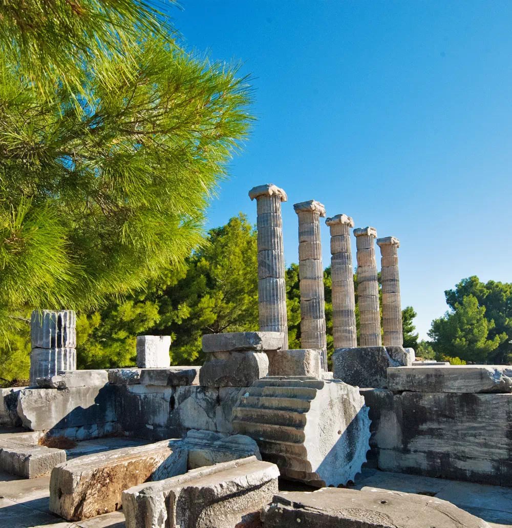 All in One Priene | Miletos | Didyma