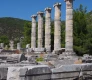 priene priene