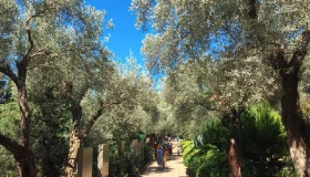 brothers-taxi-kusadasi-17 brothers-taxi-kusadasi-17