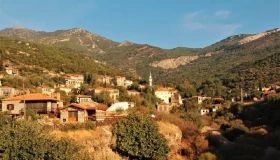 brothers-taxi-kusadasi-31 brothers-taxi-kusadasi-31